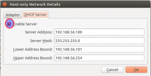 HostOnly network DHCP server