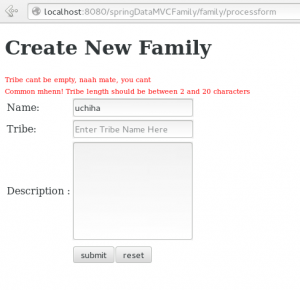 Validation Text from FamilyForm object