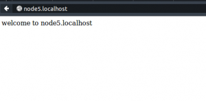 node 5 virtualhost