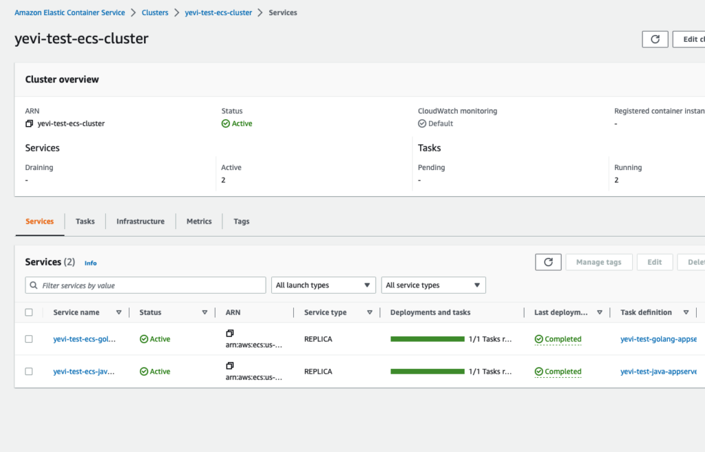 ECS cluster and list of healthy services