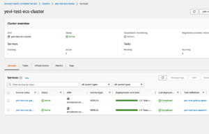 ECS cluster and list of healthy services