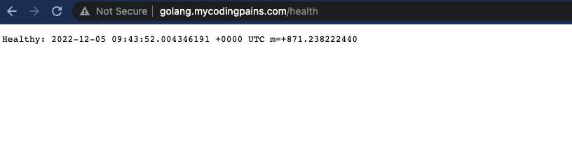 Golang app health url from browser